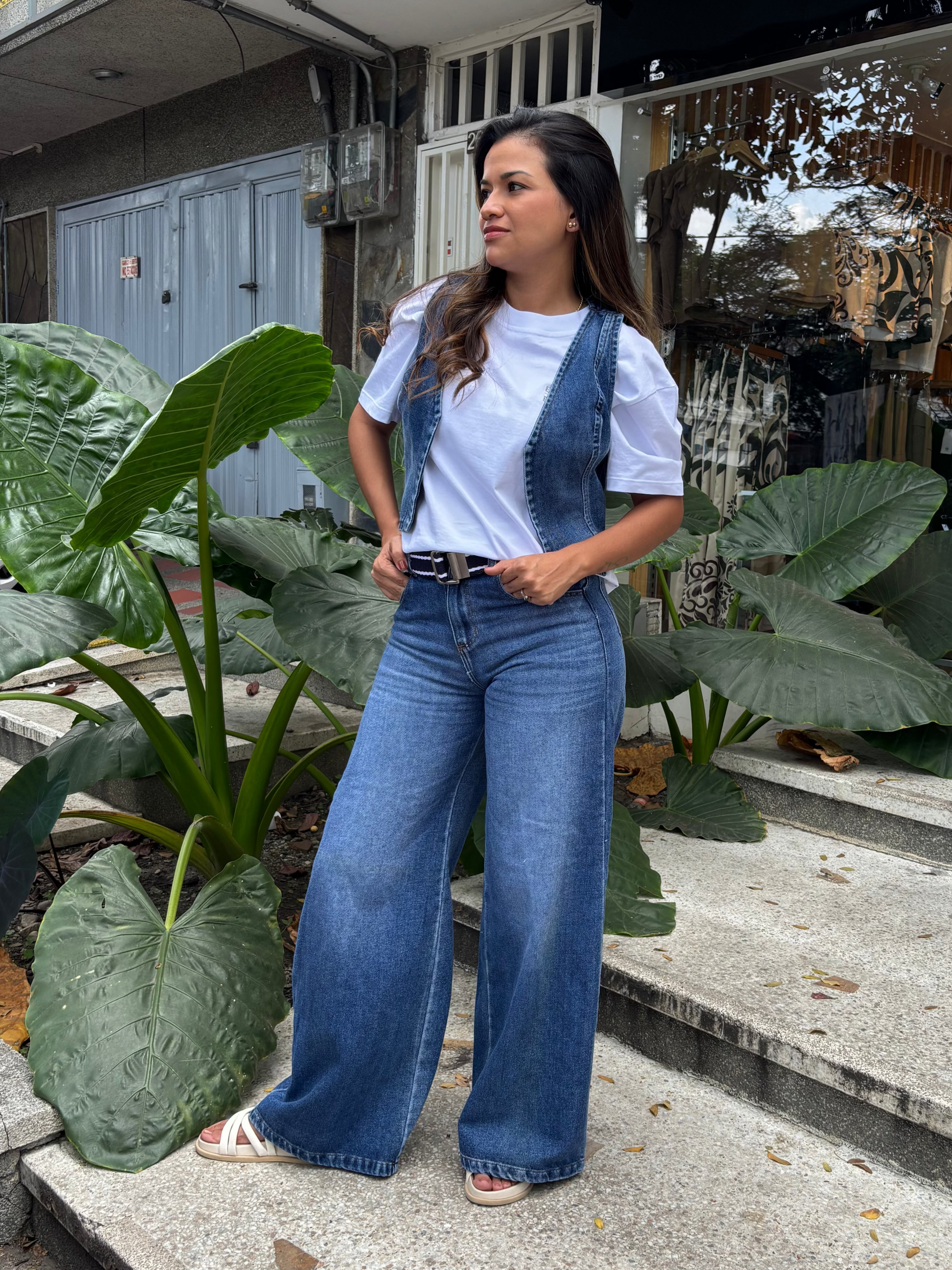 JN566 DN Carlot Claro